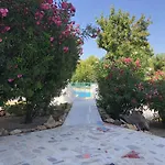 El Garbi *